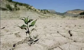 دمای بالای 50 درجه و قطعی های مکرر برق