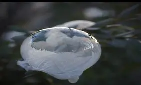 چقد زیبا یخ میزنه