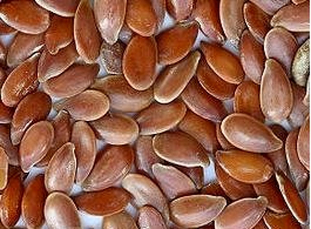 تولید دارویی برای پیشگیری از بیماریهای قلبی و عروقی در ایران