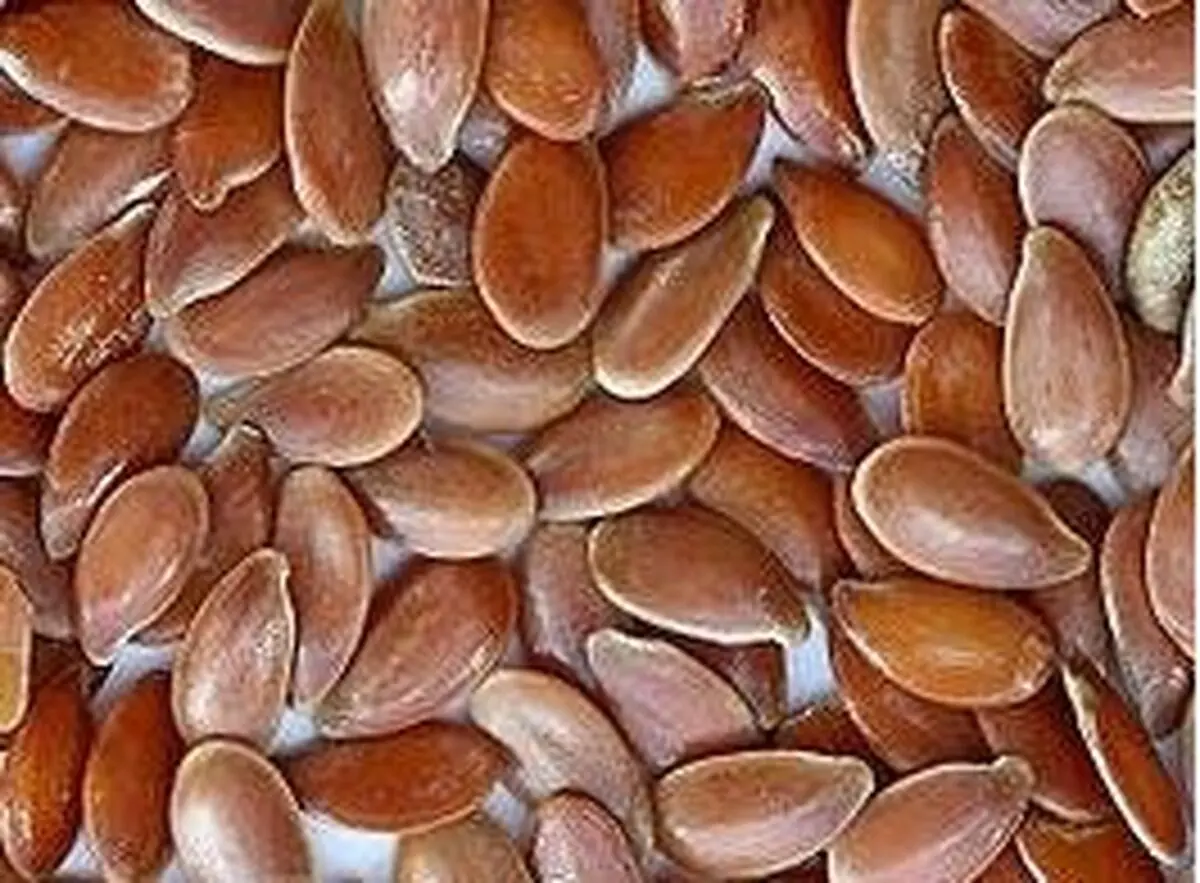 تولید دارویی برای پیشگیری از بیماری‌های قلبی و عروقی در ایران