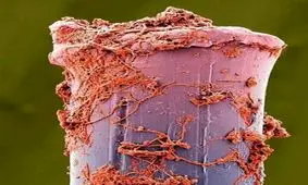 به نظرتون این تصویر عجیب چی میتونه باشه؟