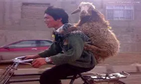 تا حالا با خوشحالی به استقبال مرگ رفتن را دیدی ؟!!