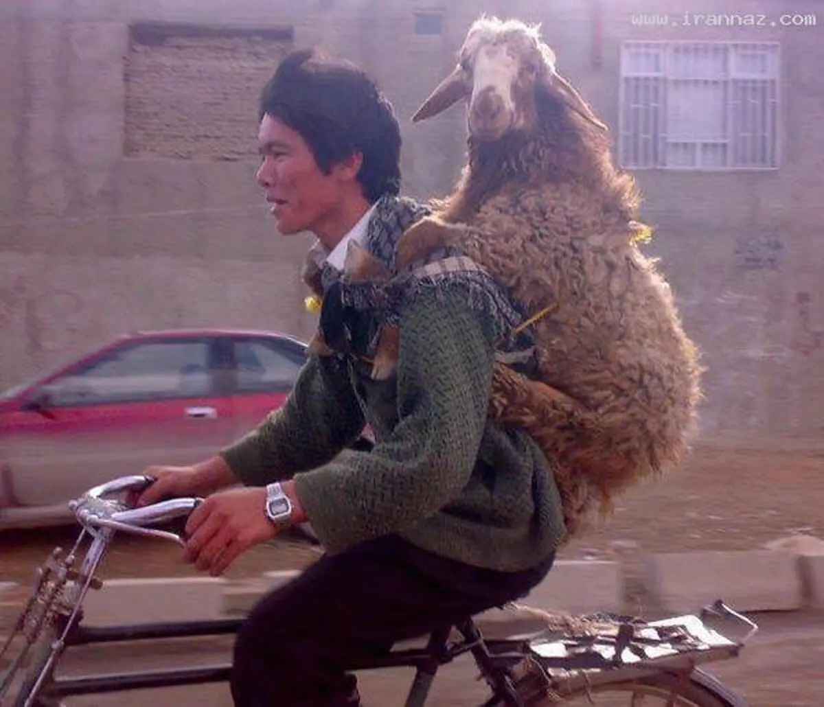 تا حالا با خوشحالی به استقبال مرگ رفتن را دیدی ؟!!