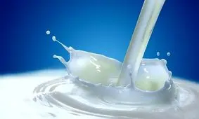 آیا خوردن شیر برای بدن فایده دارد؟