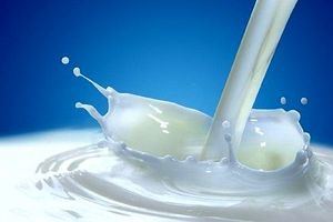آیا خوردن شیر برای بدن فایده دارد؟
