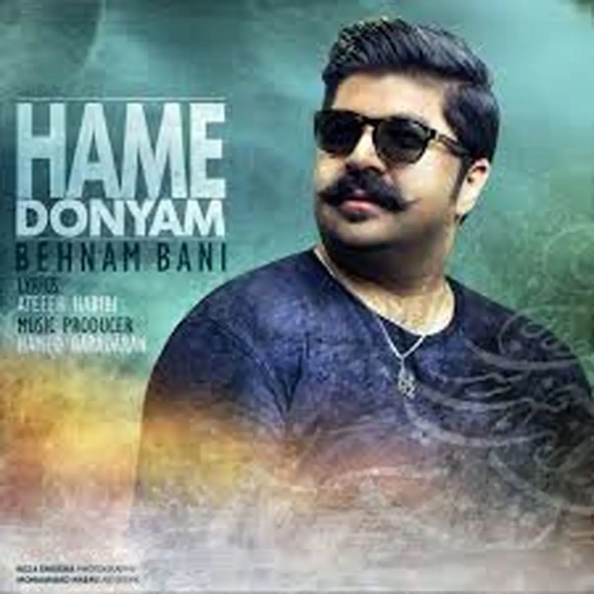 بهنام بانی و خواهرش در یک کنسرت!