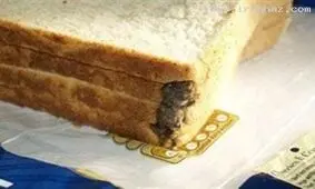 پیدا شدن یک موش پخته شده در نان صبحانه