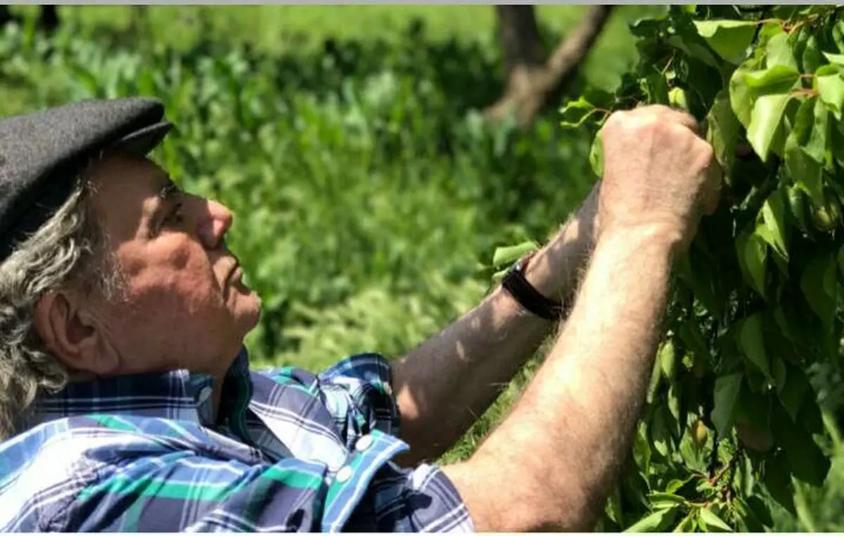 ماجرای عجیب محمدرضا شجریان در این روستا!