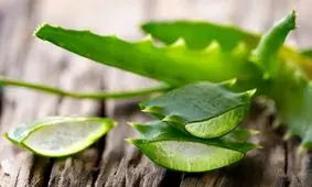 فواید استفاده از آلوئه ورا در زیبایی پوست