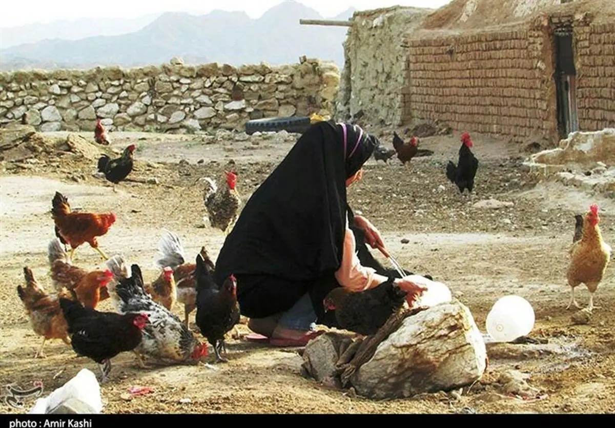 روستای طرود شاهرود به روایت تصویر