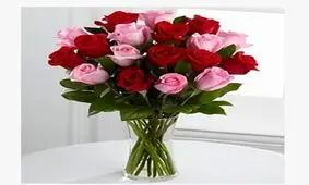 هرگز با افراد نادان بحث نکن