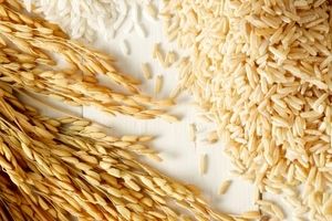 نکاتی جالب درباره ی خواص سبوس برنج