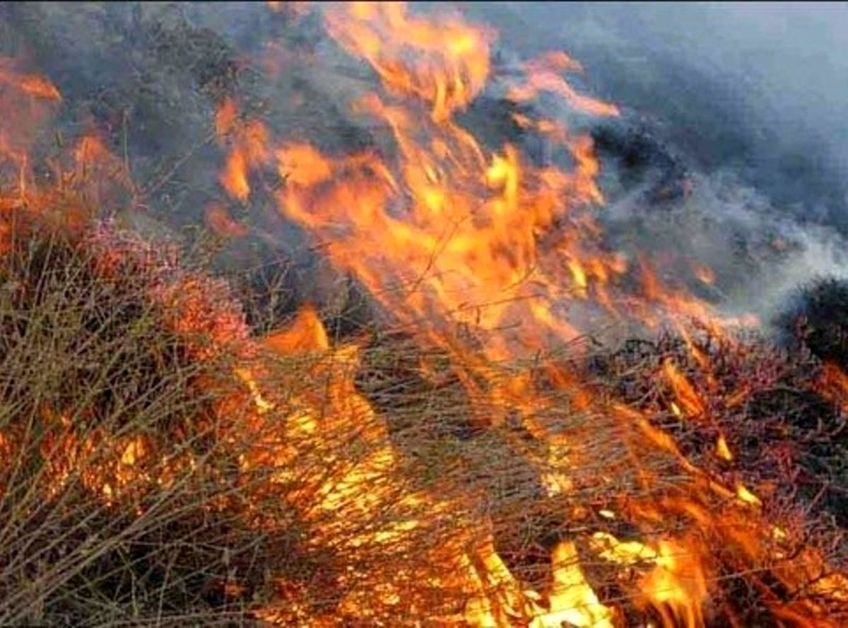 آتش سوزی در منابع طبیعی فیروزآباد فارس مهار شد