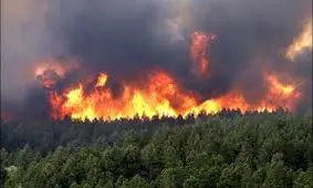 حادثه تلخ برای نیروی اداره کل منابع طبیعی گلستان هنگام اطفای حریق