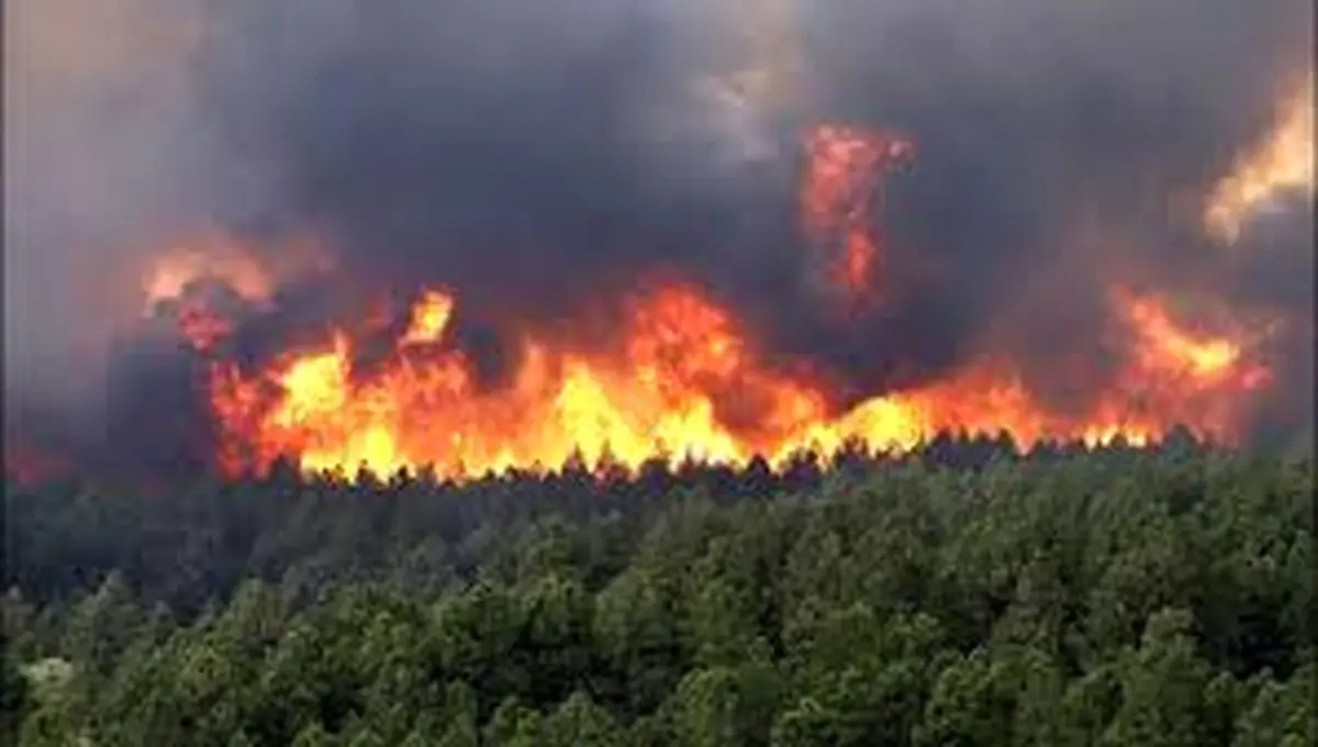 حادثه تلخ برای نیروی اداره کل منابع طبیعی گلستان هنگام اطفای حریق