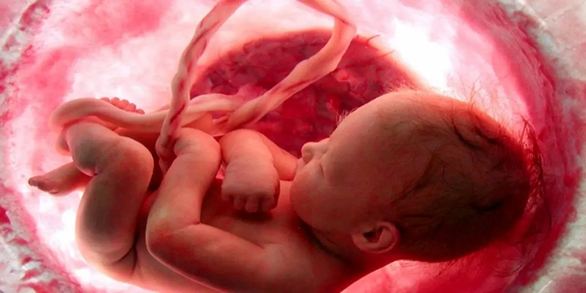 سقط جنین و نشانه های آن