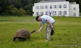 غول پیکر و پیرترین موجود در زمین!