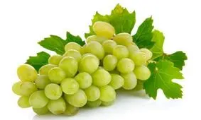 از فواید میوه انگور چه می دانید؟!
