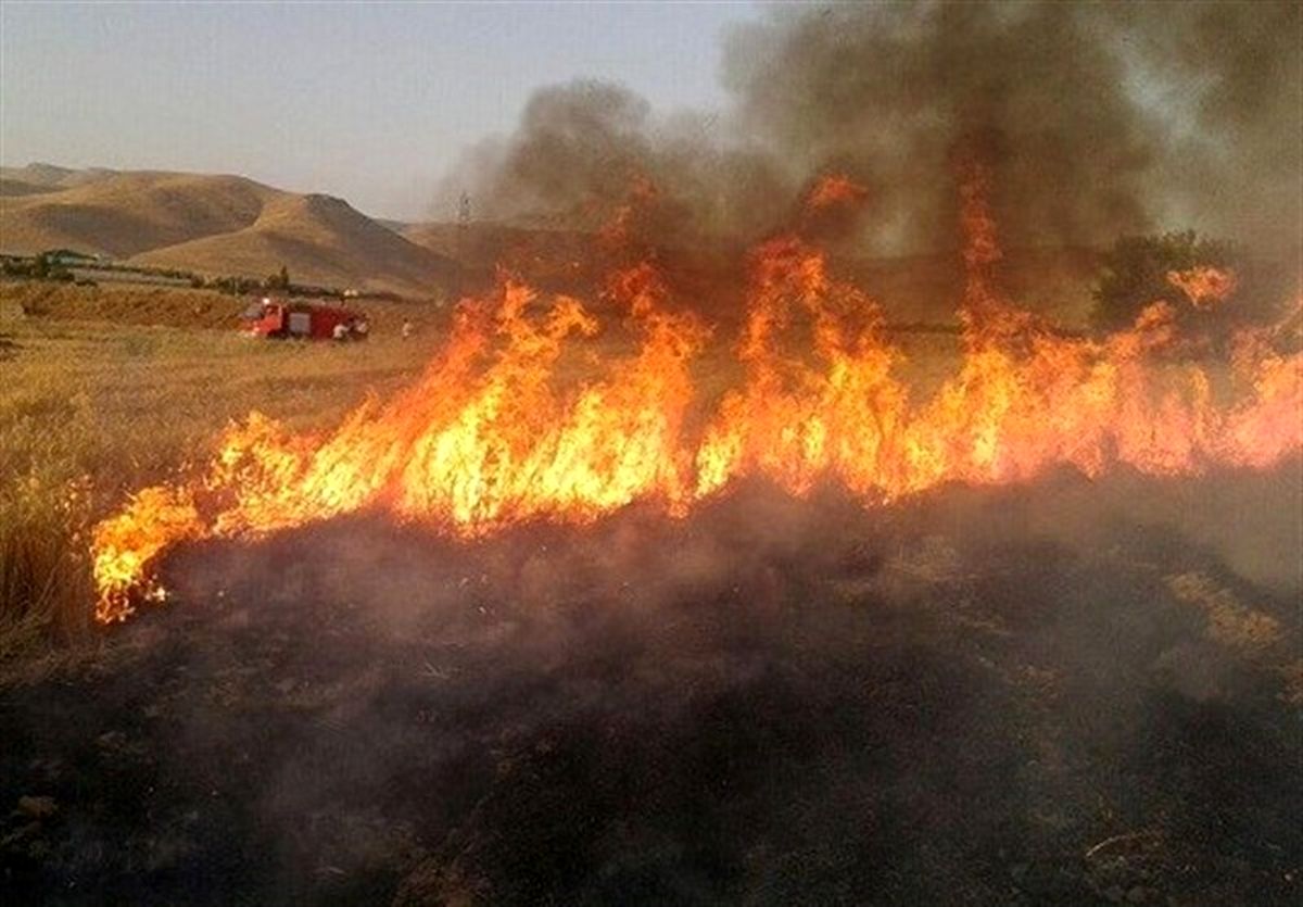 مزارع گندم روستای سر نمک خرم‌آباد در آتش سوخت