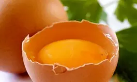 قدم به قدم با تخم مرغ برای رشد بهتر موها