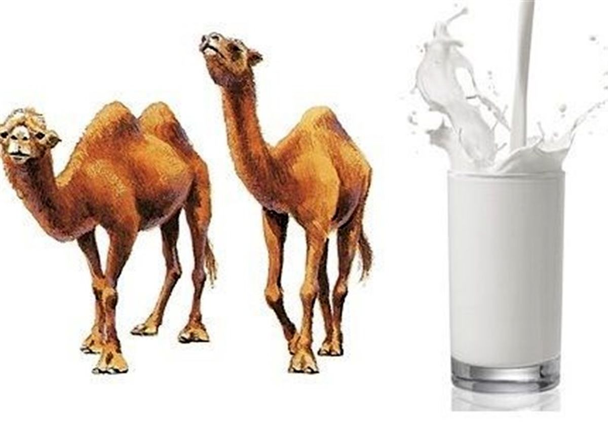 مصرف چه نوع "شیری" باعث زیاد شدن عقل کودکان مىشود