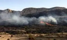 جرقه انفجار معدن یک هکتار از جنگل‌های نیلکوه را طعمه حریق کرد