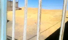 افشاگری نماینده سبزوار درباره مافیای گندم