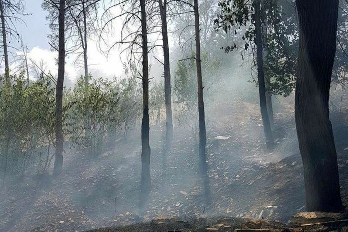 آتش در جنگل های «نیلکوه» گالیکش دوباره شعله ور شد
