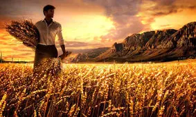 اگر می خواهید برکت از سفره تان نرود، بخوانید