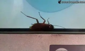 عجیب و ترسناکترین عابر بانک برای زنان در ایران