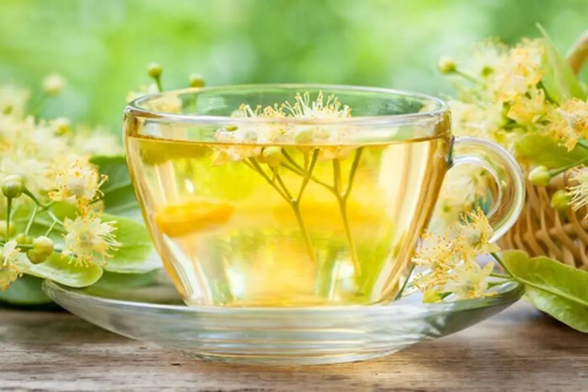 خواب آورهای گیاهی چه چیزهایی هستند؟!