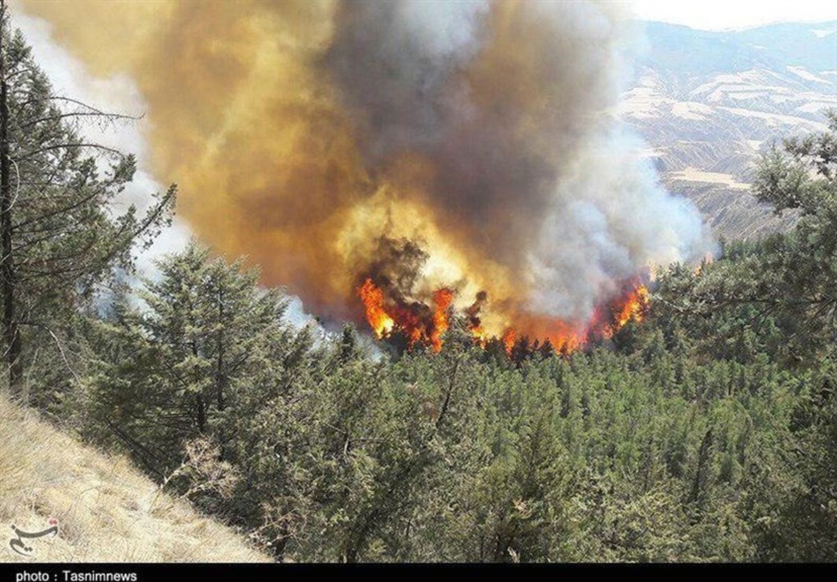 آتش‌سوزی عرصه‌های جنگلی " نیلکوه" گالیکش اطفاء شد