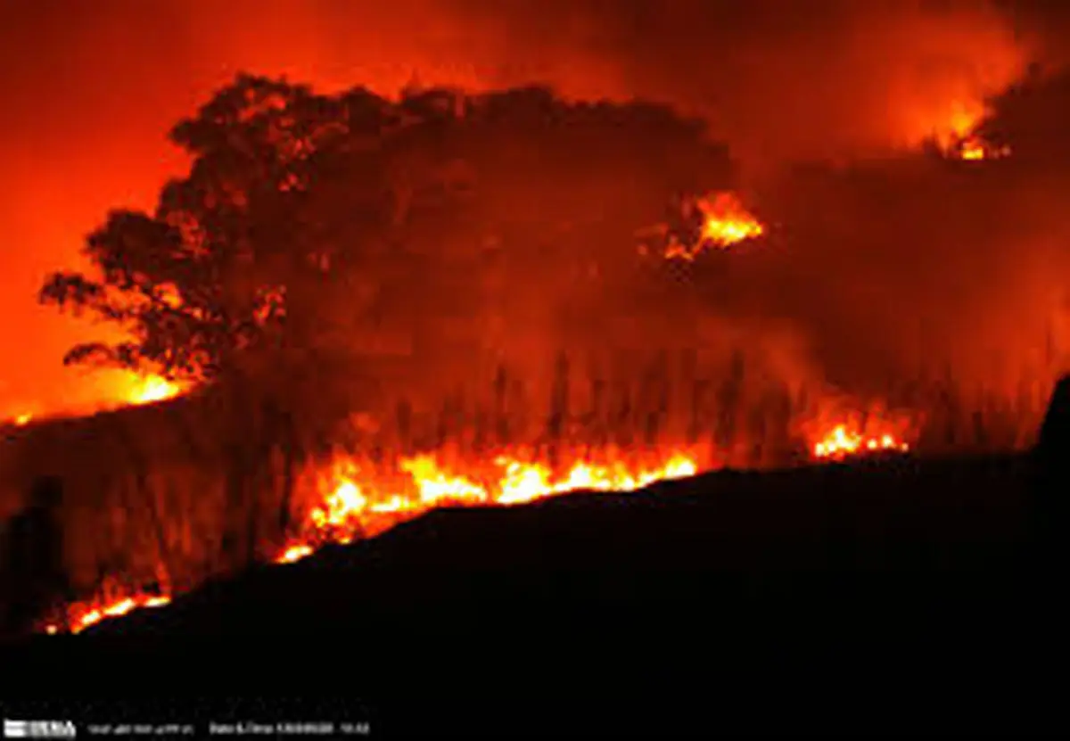 مهار آتش قبل از گسترش در پارک ملی گلستان