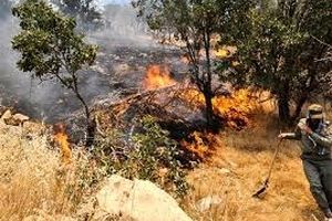آتش ۵ هکتار از منابع طبیعی تل ریزه فسا را نابود کرد