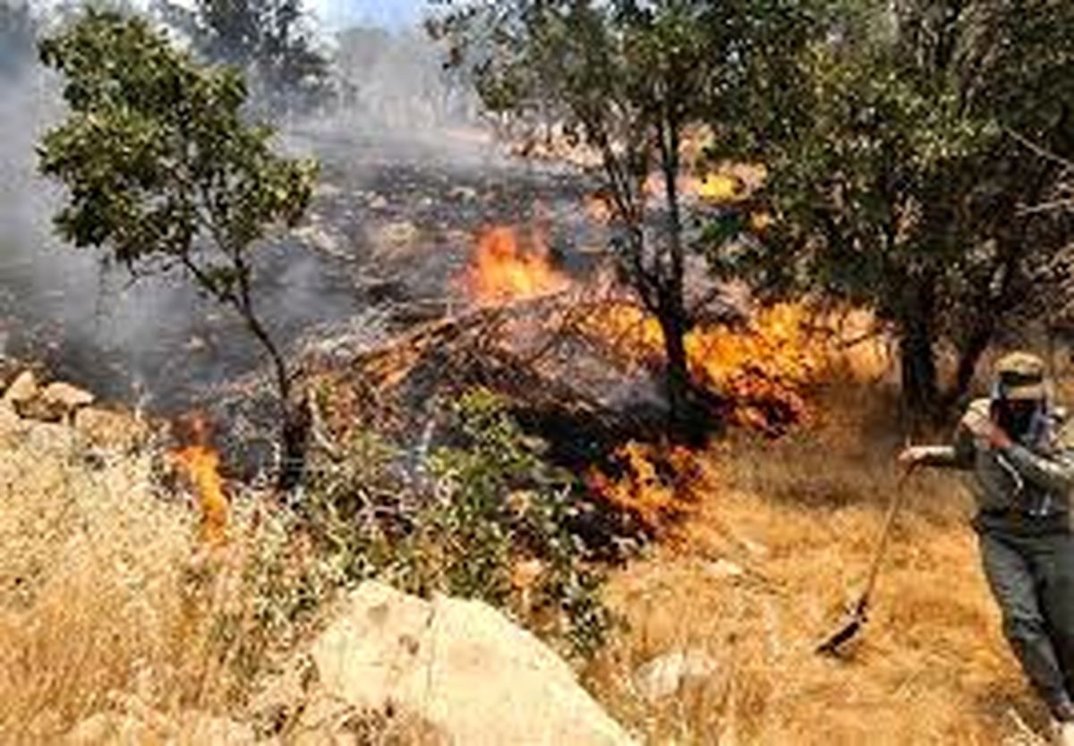 آتش ۵ هکتار از منابع طبیعی تل ریزه فسا را نابود کرد