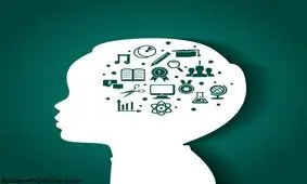 از چند درصد مغزمان استفاده می کنیم؟