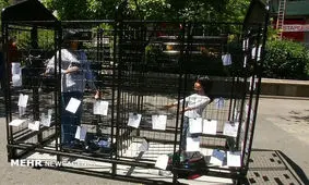 چیدمان یک هنرمند در انتقاد به سیاست ضدمهاجرتی ترامپ