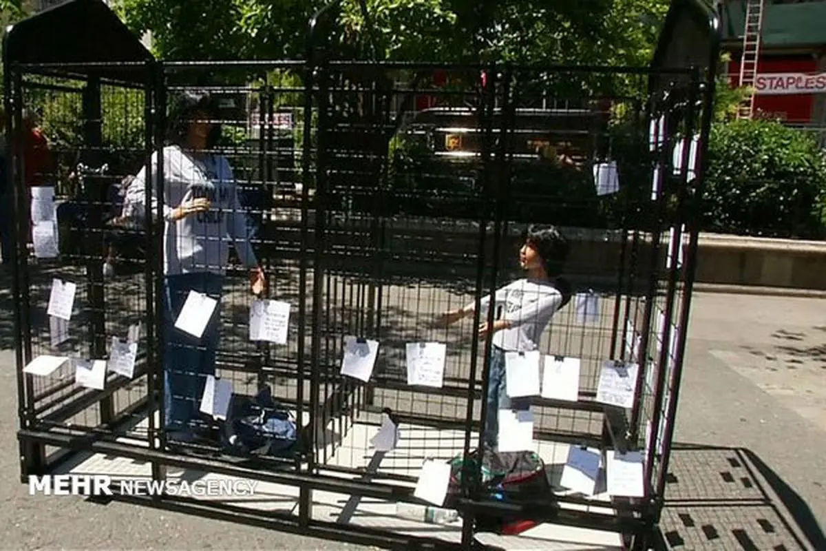 چیدمان یک هنرمند در انتقاد به سیاست ضدمهاجرتی ترامپ