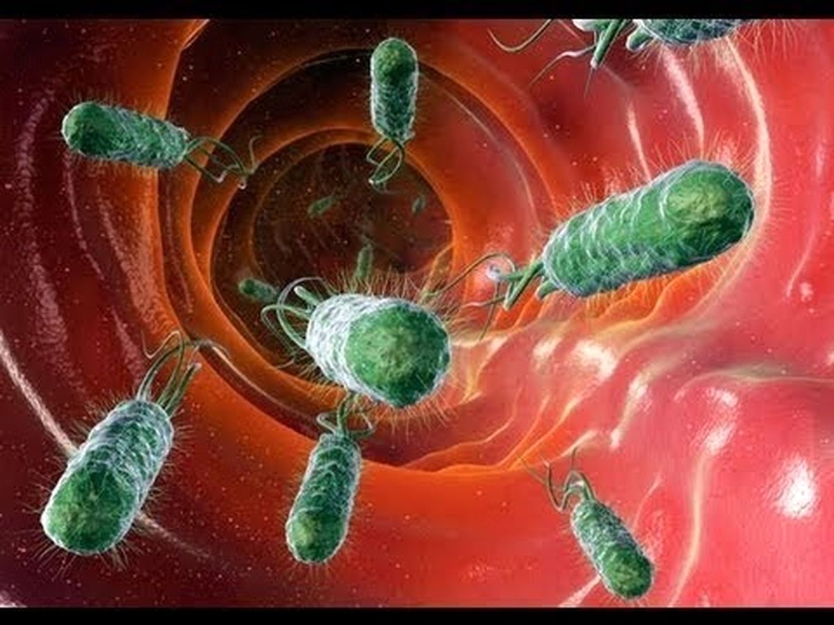 درمان عفونتهای شدید با یک راهکار ساده طب سنتی