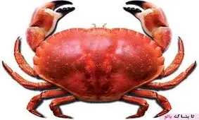 یکی که همینجوری بغلمون کنه