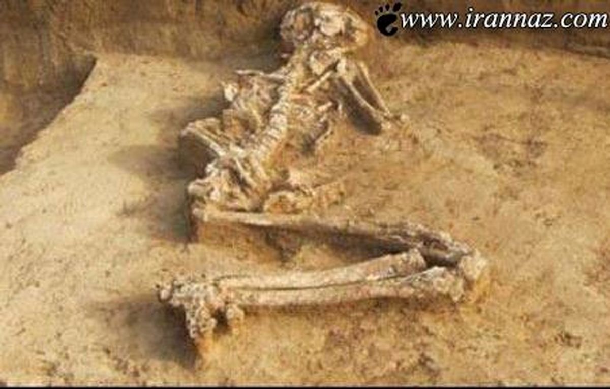 کشف بقایای جسد 6000 ساله یک زن حامله