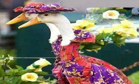 غازهایی که مدلینگ شده اند!