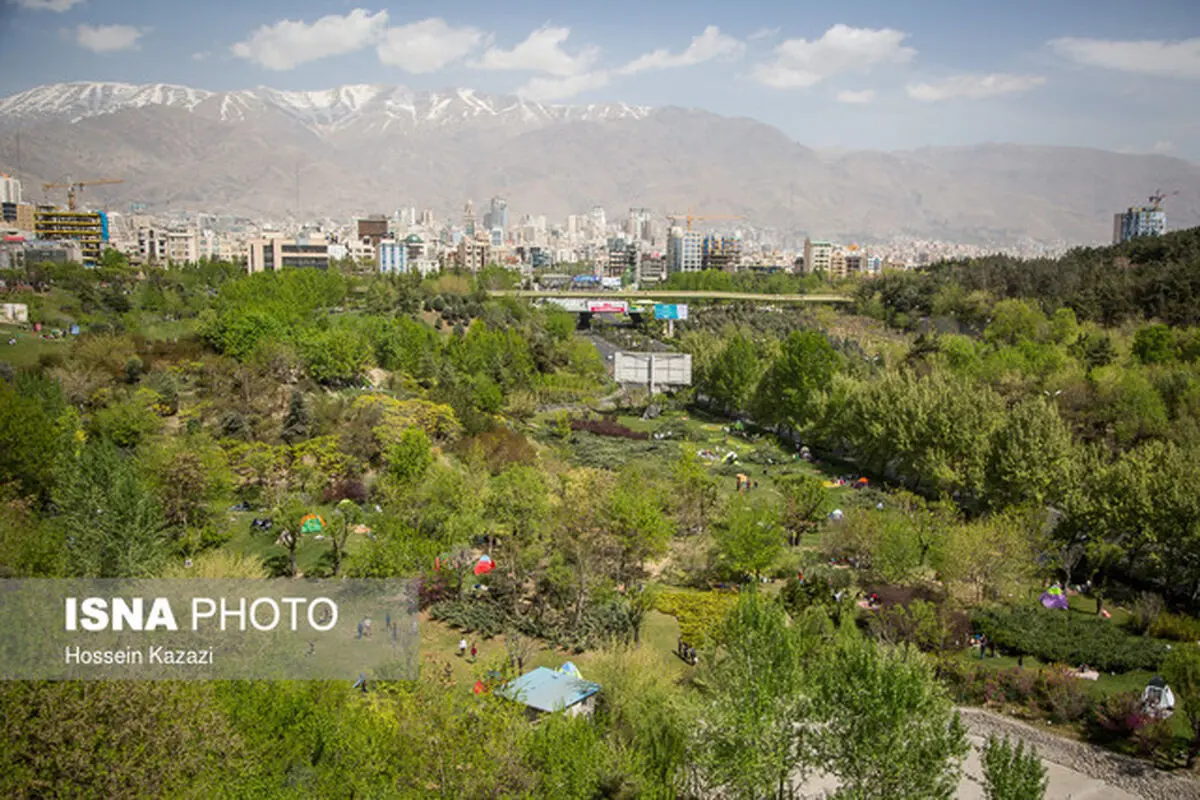 بخشنامه جدید سازمان بوستان‌ها برای ممنوعیت کاشت چمن در تهران