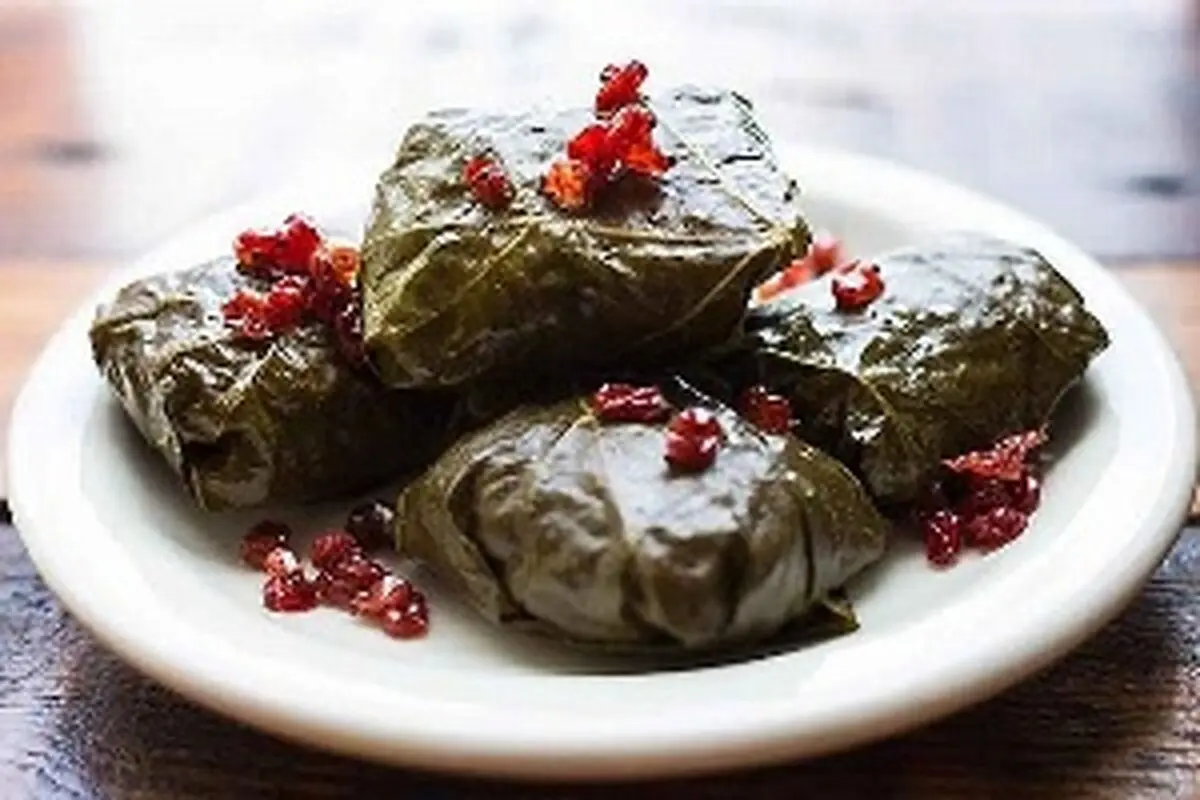 روش نگهداری برگ مو برای طولانی مدت با دو روش موثر