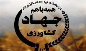 استان مرکزی متعهد به تولید ۱۹۵ هزار تن گندم شد