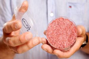 گوشت مصنوعی ارزان قیمت تا سه سال دیگر به بازار خواهد آمد