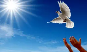 بخشش قاتل به احترام امام رضا(ع)