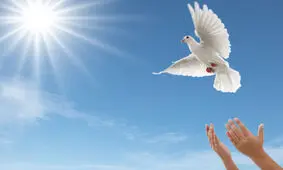 بخشش قاتل به احترام امام رضا(ع)
