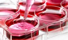 تولید 13 فناوری جدید در حوزه دارویی کشور