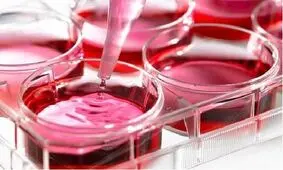 تولید 13 فناوری جدید در حوزه دارویی کشور